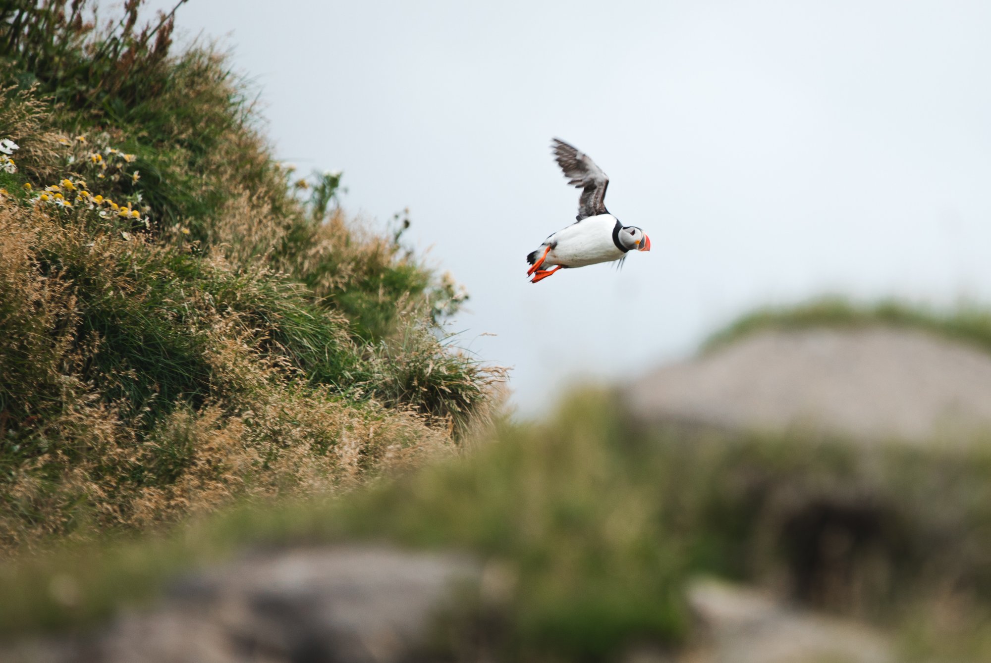 Environmental Health