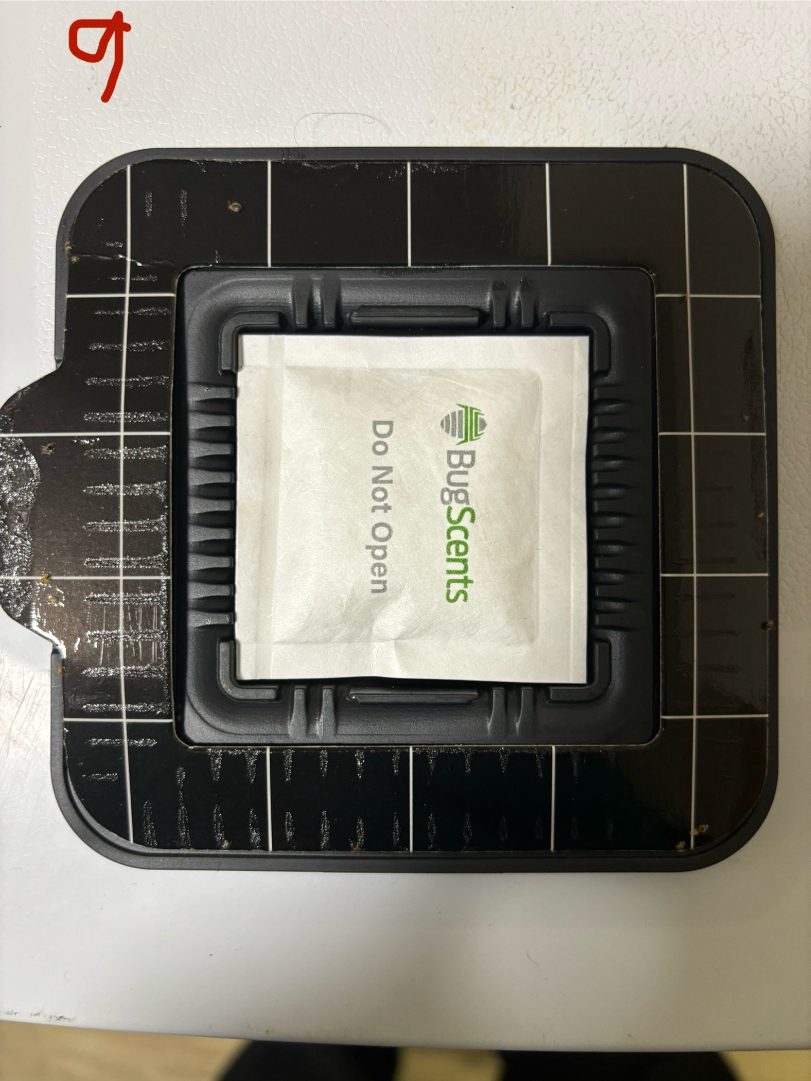 Newham Council photos (1)