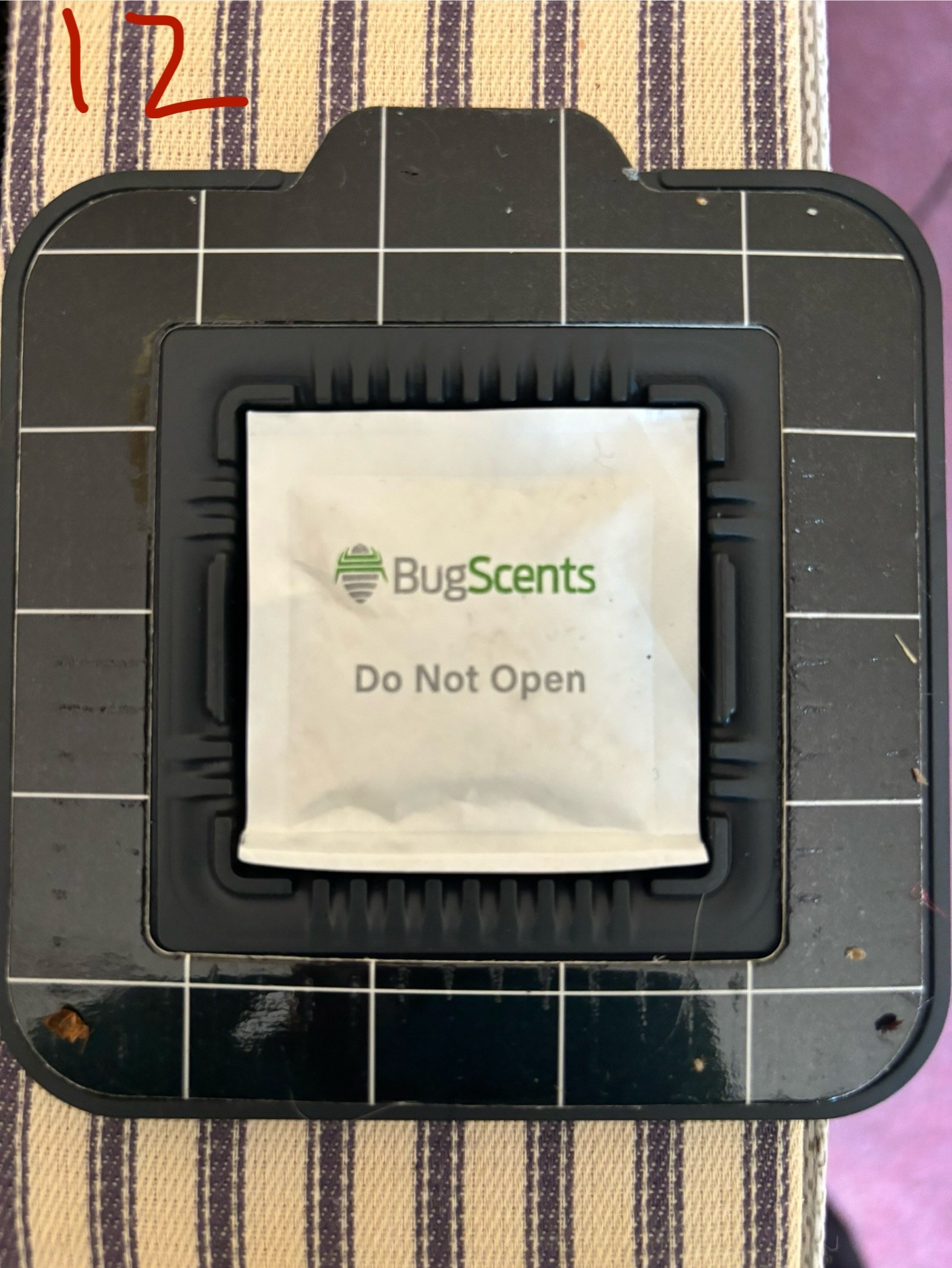 Newham Council photos (2)