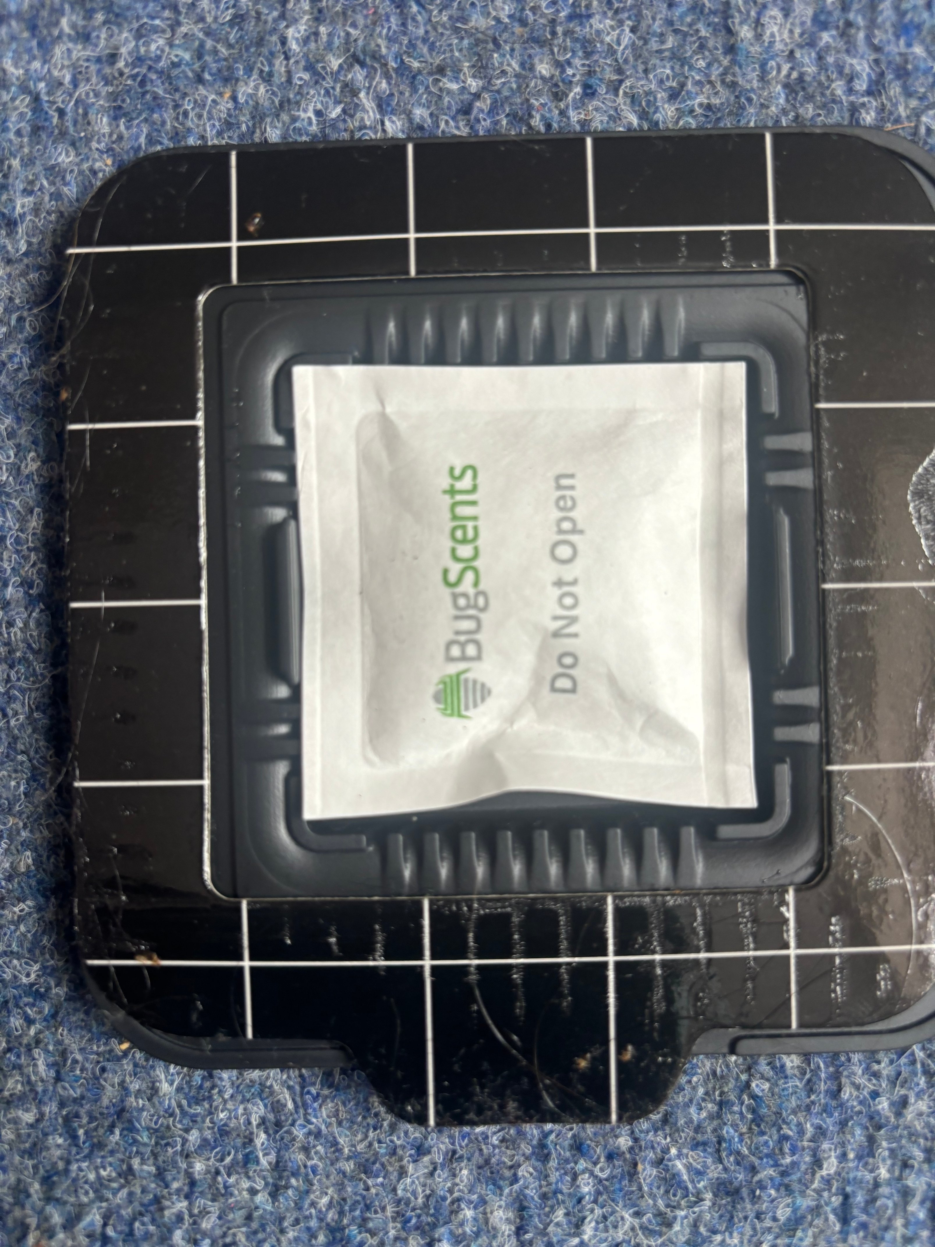 Newham Council photos (6)