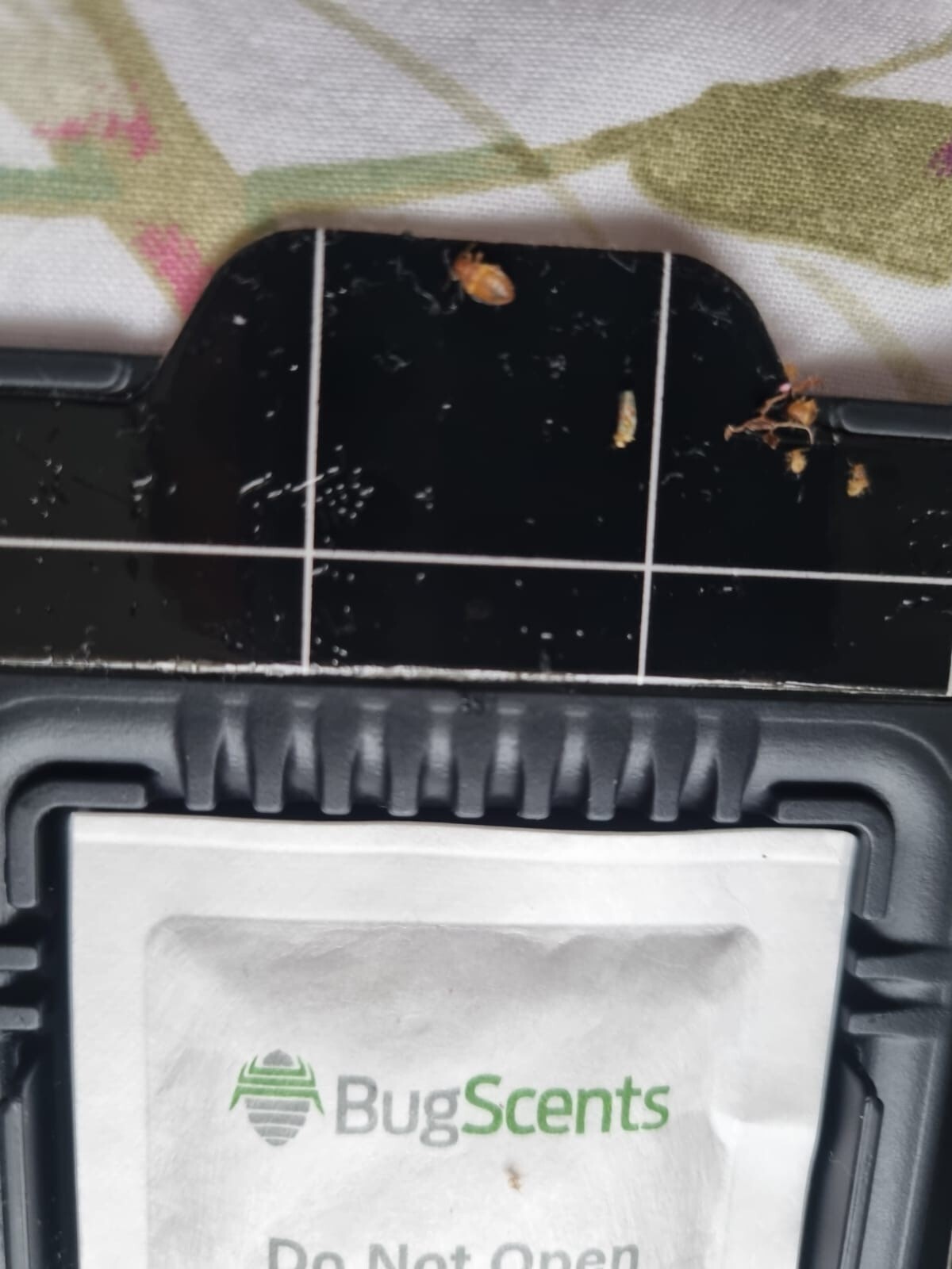 Killgerm customer photo3