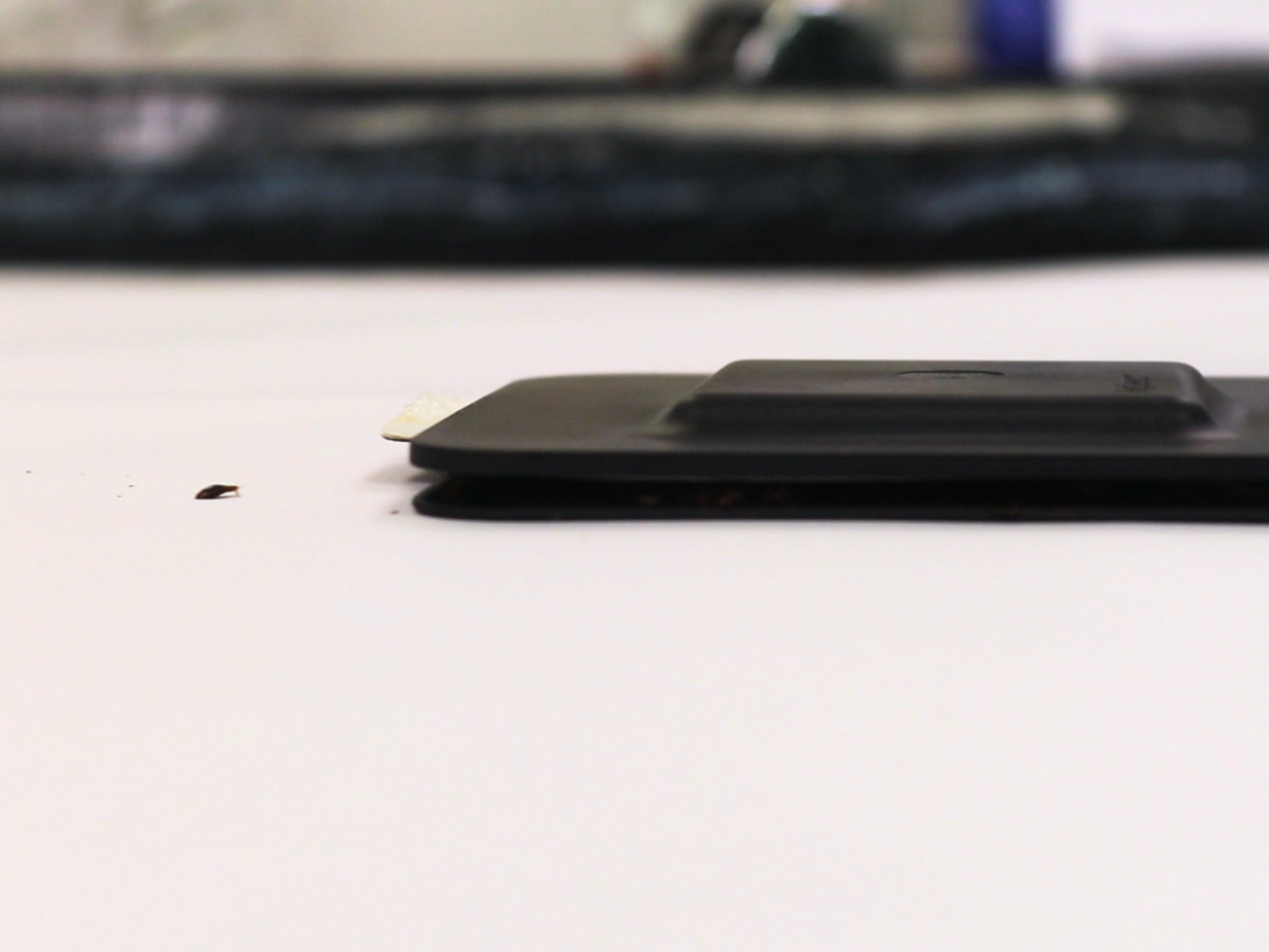 attract bugs
