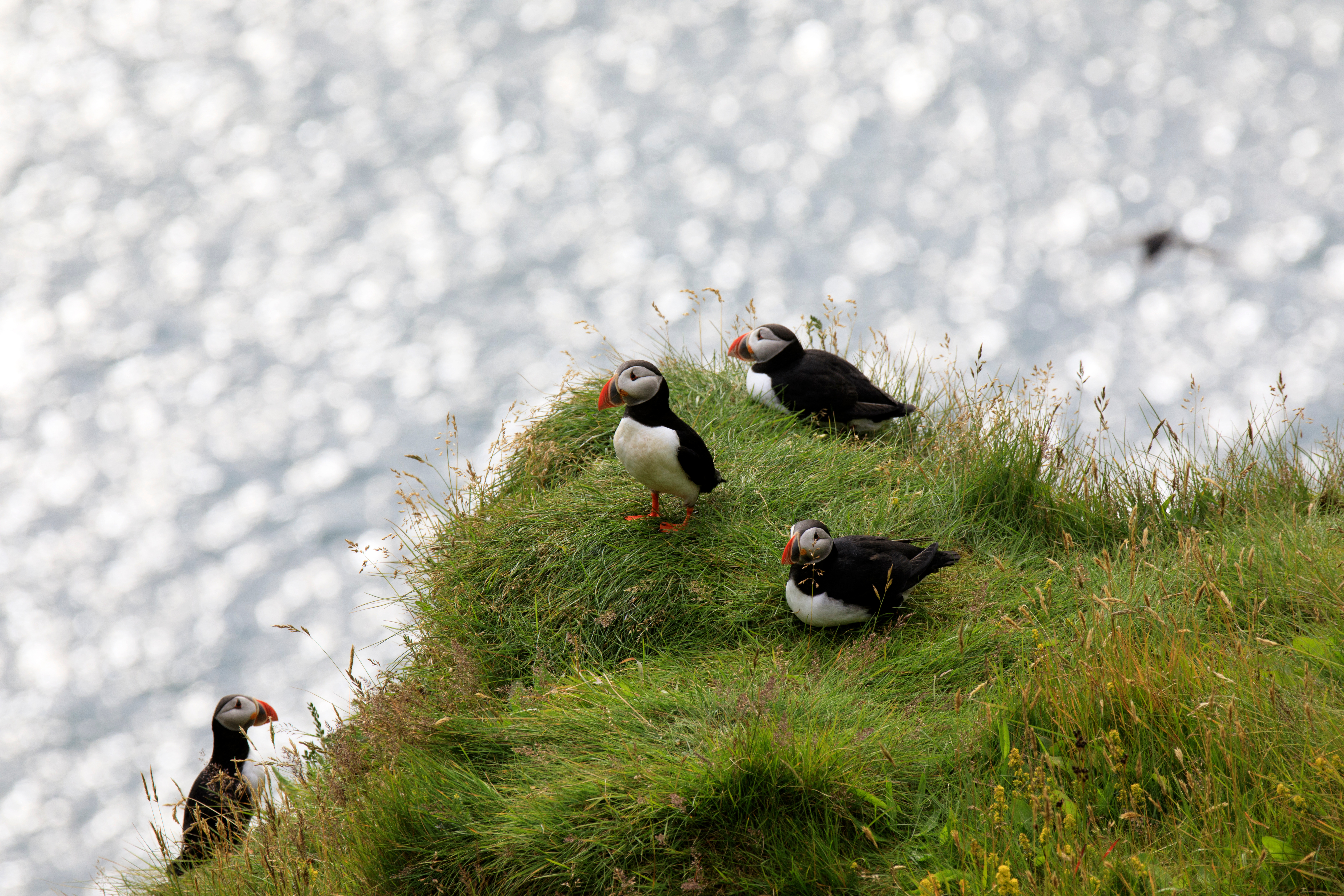 AdobeStock_342473959