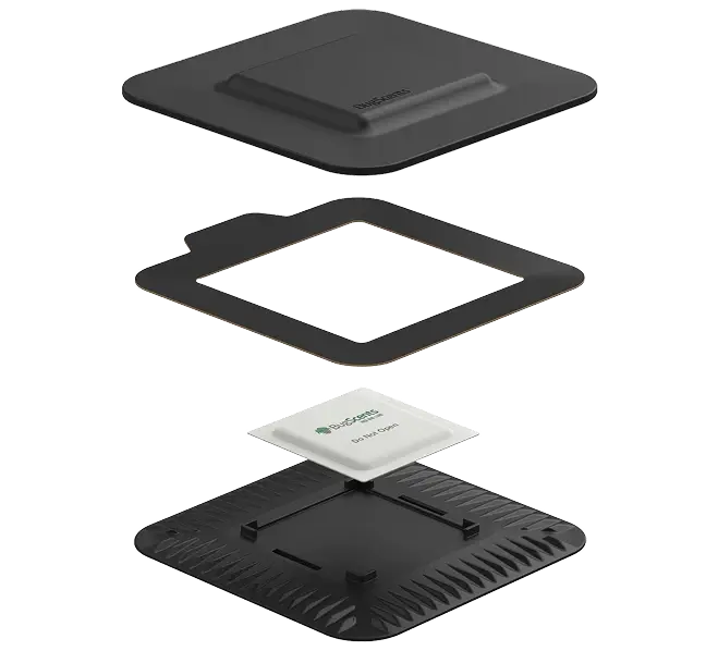 Adobe Express - file (1) 1