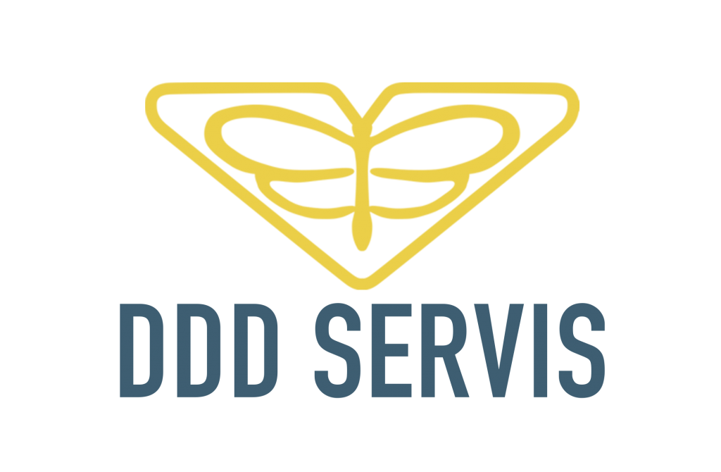 dddservis