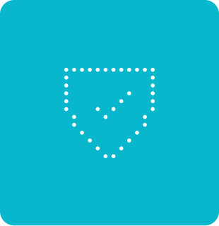 professional pest controller